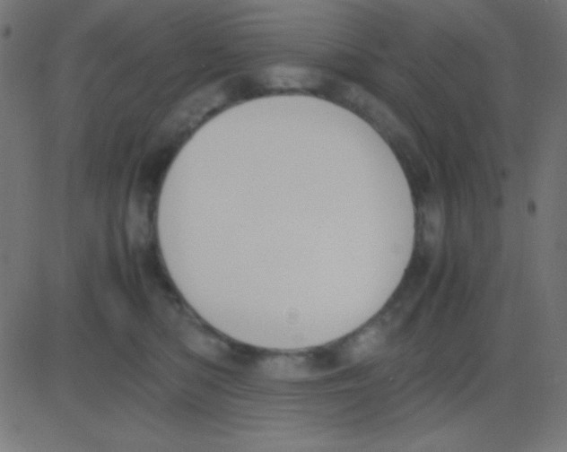 X0000081270422200702012158