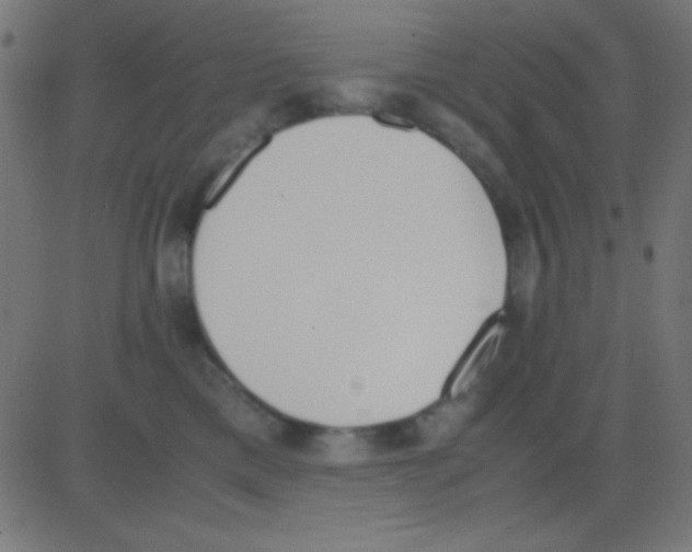 X0000081270425200702012158