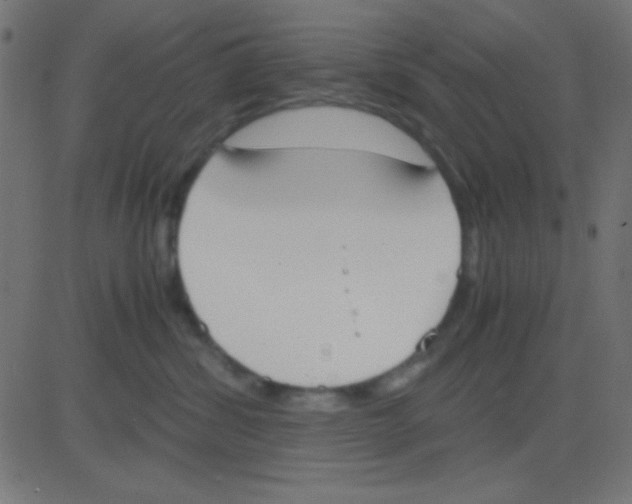 X0000081270428200702012158