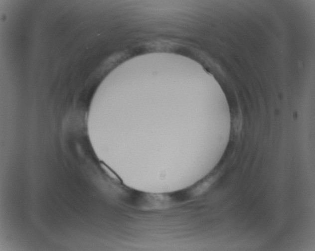 X0000081270429200702012158