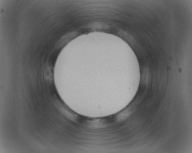 X0000081270430200702012158