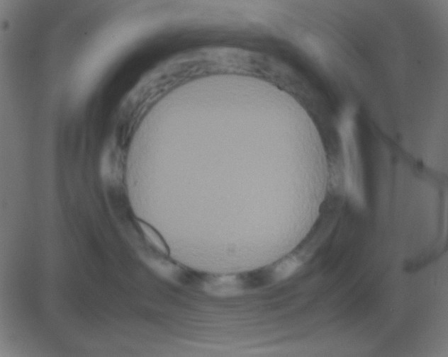 X0000081270431200702012158