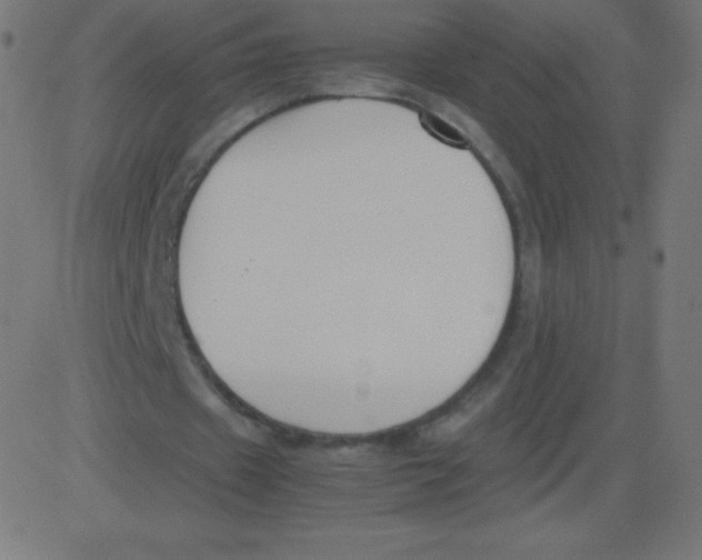 X0000081270433200702012157