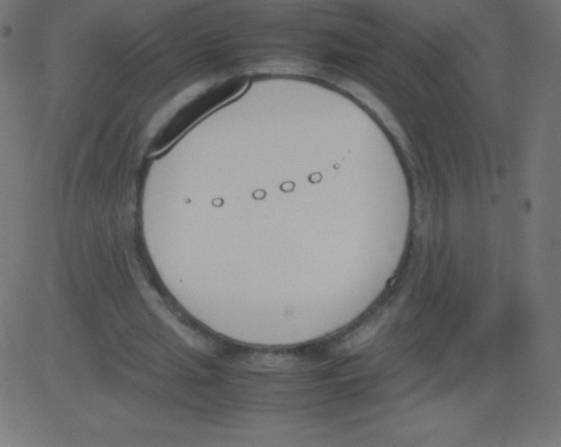 X0000081270437200702012157
