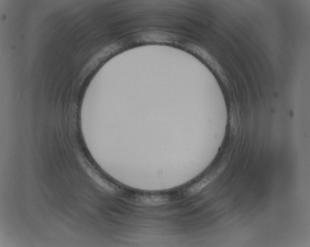 X0000081270445200702012157