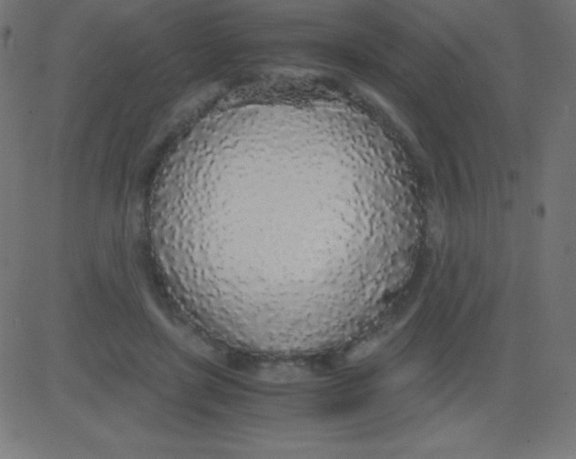 X0000081270451200702012158