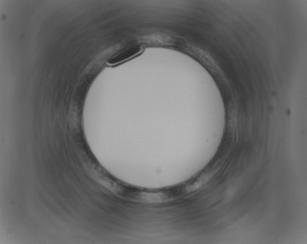 X0000081270457200702012158