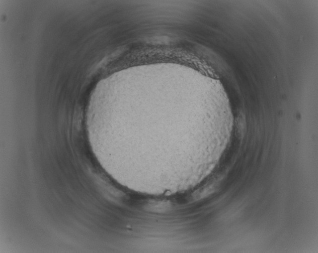 X0000081270458200702012158