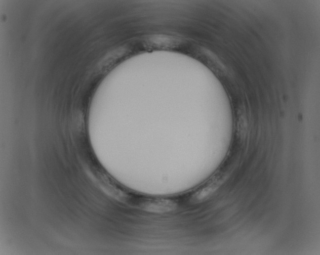X0000081270459200702012158