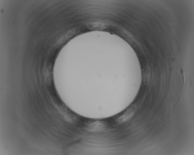 X0000081270460200702012158