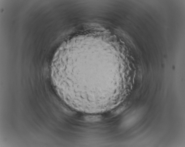 X0000081270465200702012158
