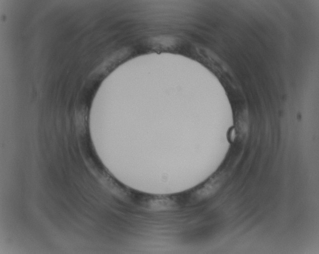 X0000081270468200702012158