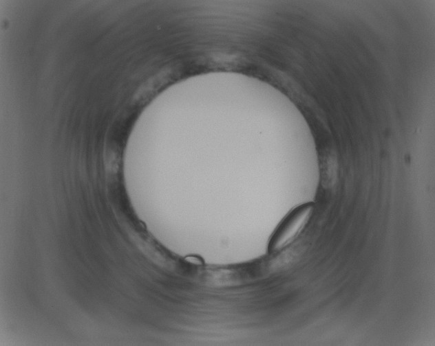 X0000081270472200702012158