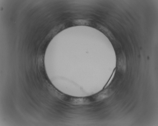 X0000081270473200702012158