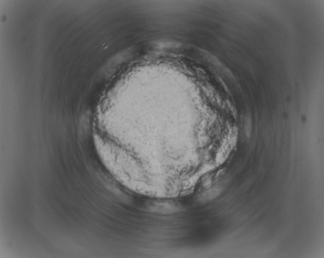 X0000081270475200702012158