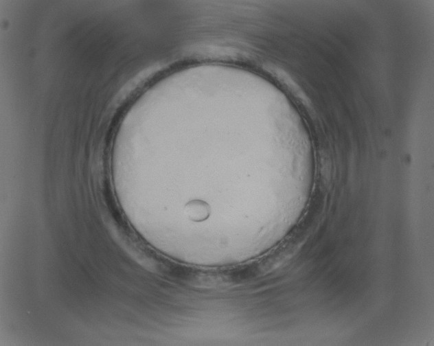 X0000081270487200702012157