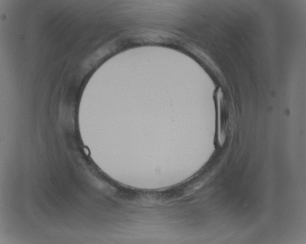 X0000081270489200702012157