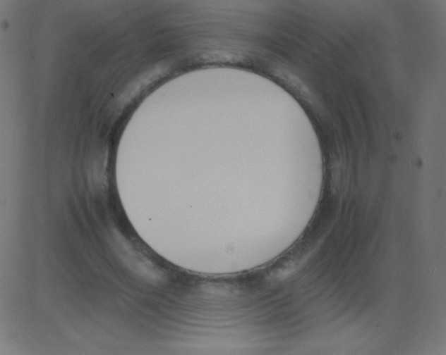 X0000081270490200702012157