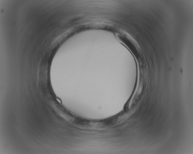 X0000081270493200702012157