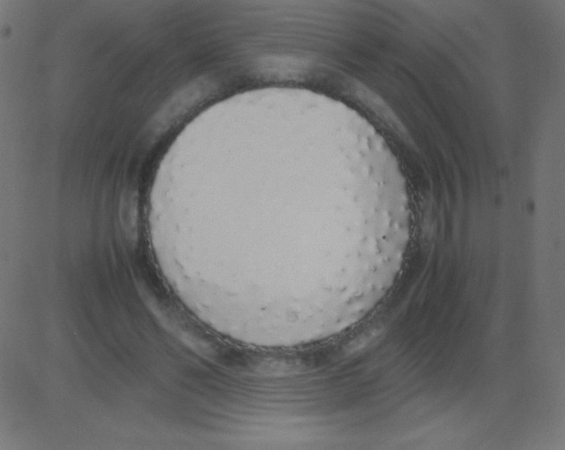 X0000081270494200702012157