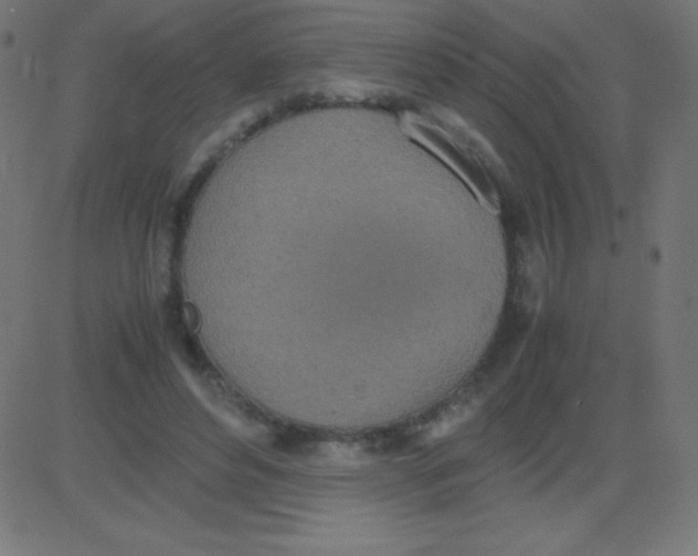 X0000081270496200702012157