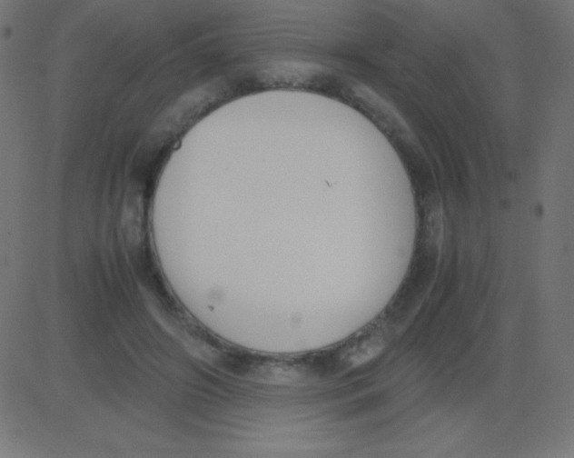 X0000081270498200702012157