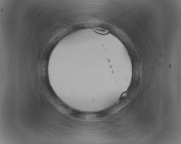 X0000081270501200702012157