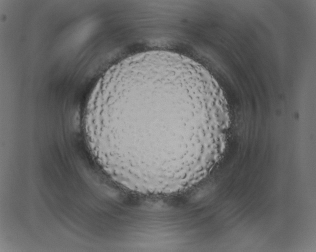 X0000081270502200702012157