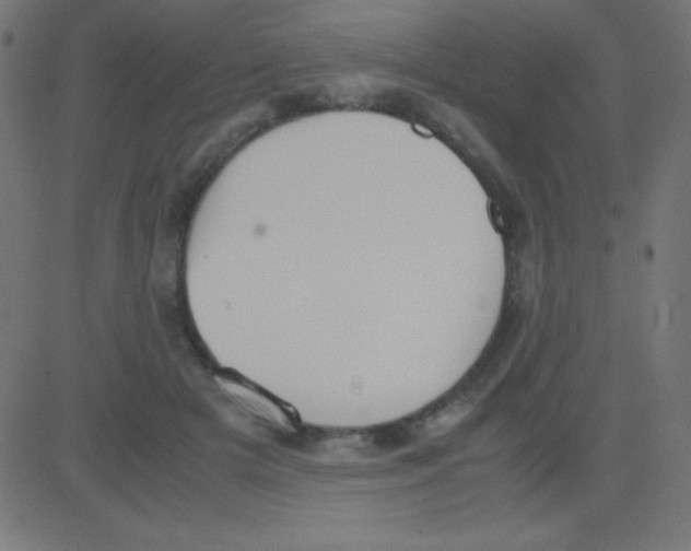 X0000081270505200702012157