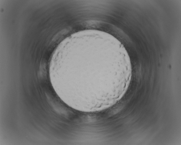 X0000081270506200702012157