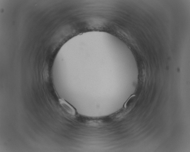X0000081270508200702012157
