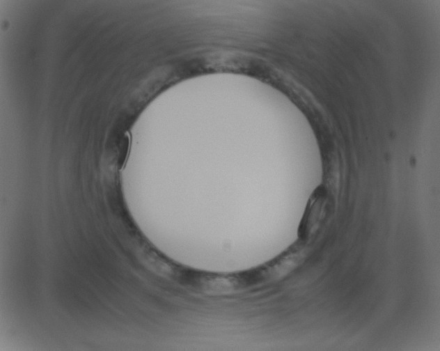 X0000081270513200702012157