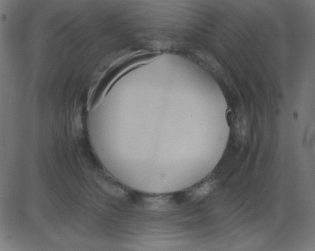 X0000081270516200702012157