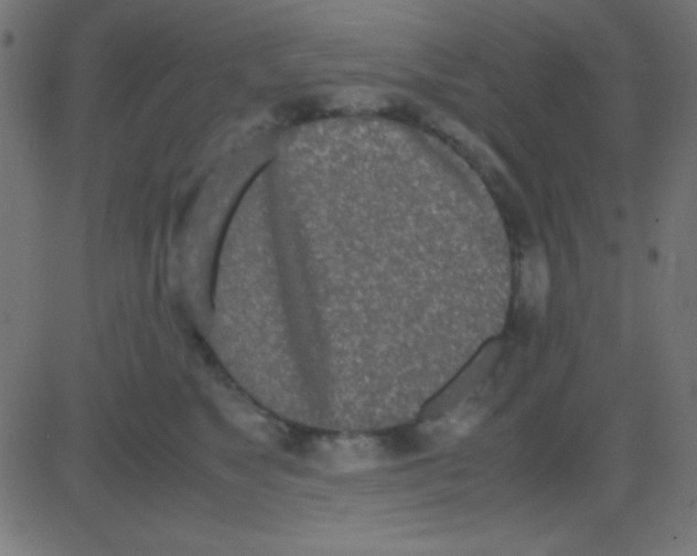 X0000081270517200702012157