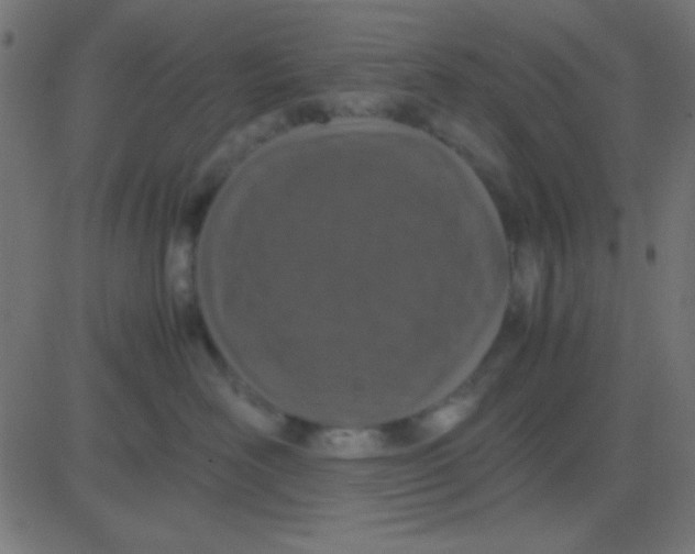 X0000081270526200702012157