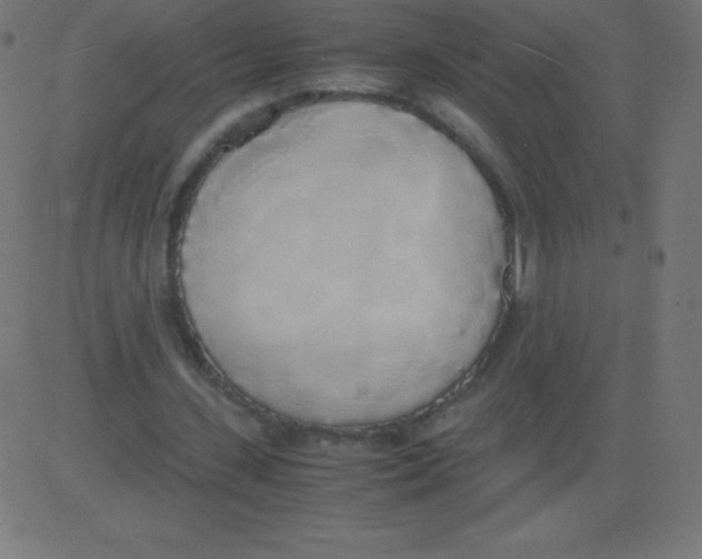 X0000081270531200702012156