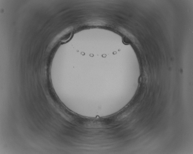 X0000081270535200702012156
