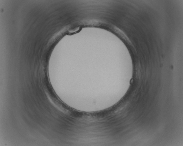 X0000081270538200702012156