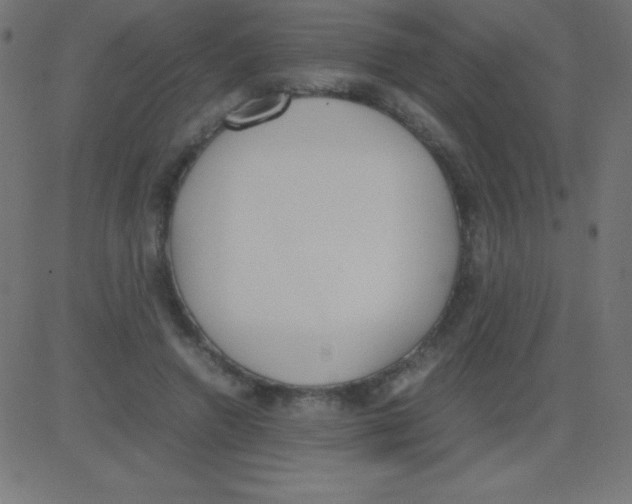 X0000081270546200702012156