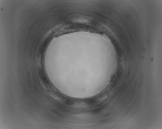 X0000081270547200702012156