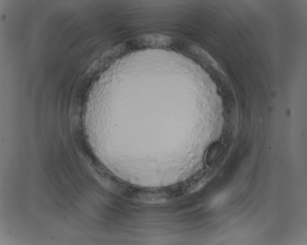 X0000081270553200702012156