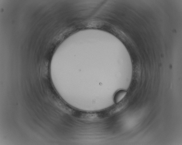 X0000081270554200702012156