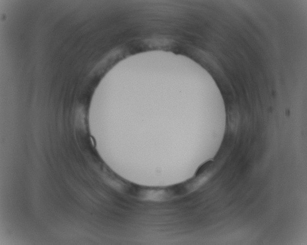X0000081270575200702012156