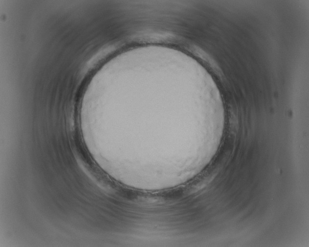X0000081270582200702012156