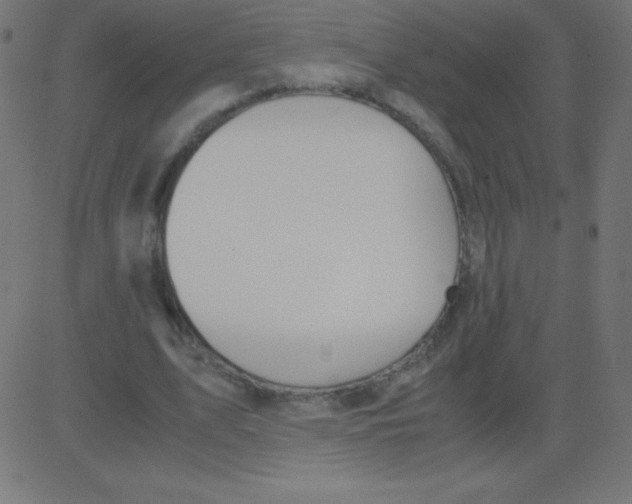 X0000081270583200702012156