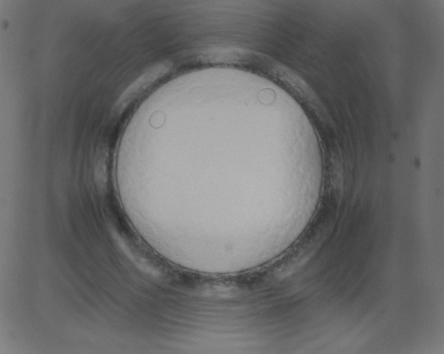 X0000081270586200702012156