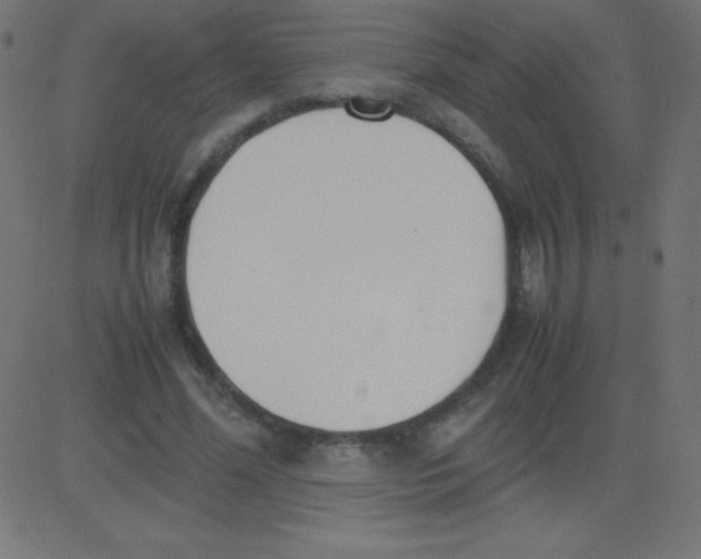 X0000081270588200702012155