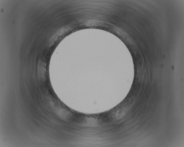 X0000081270592200702012155