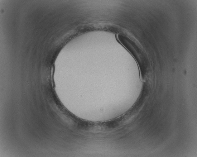 X0000081270593200702012155
