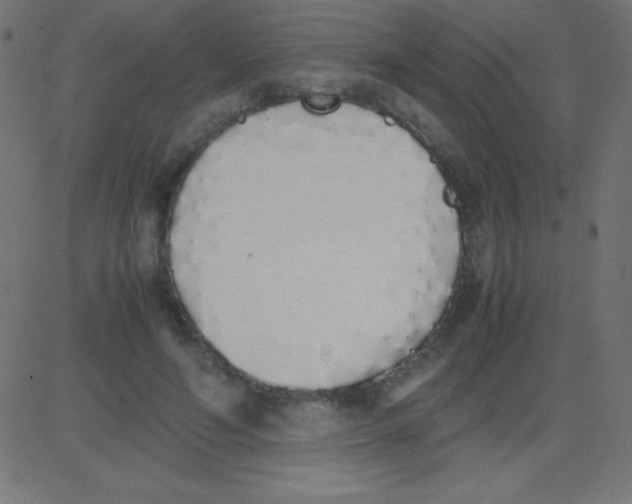 X0000081270594200702012155